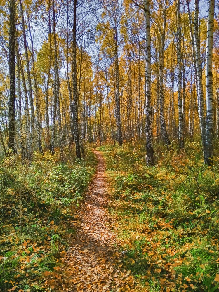 Photograph by Пушкин Сергей