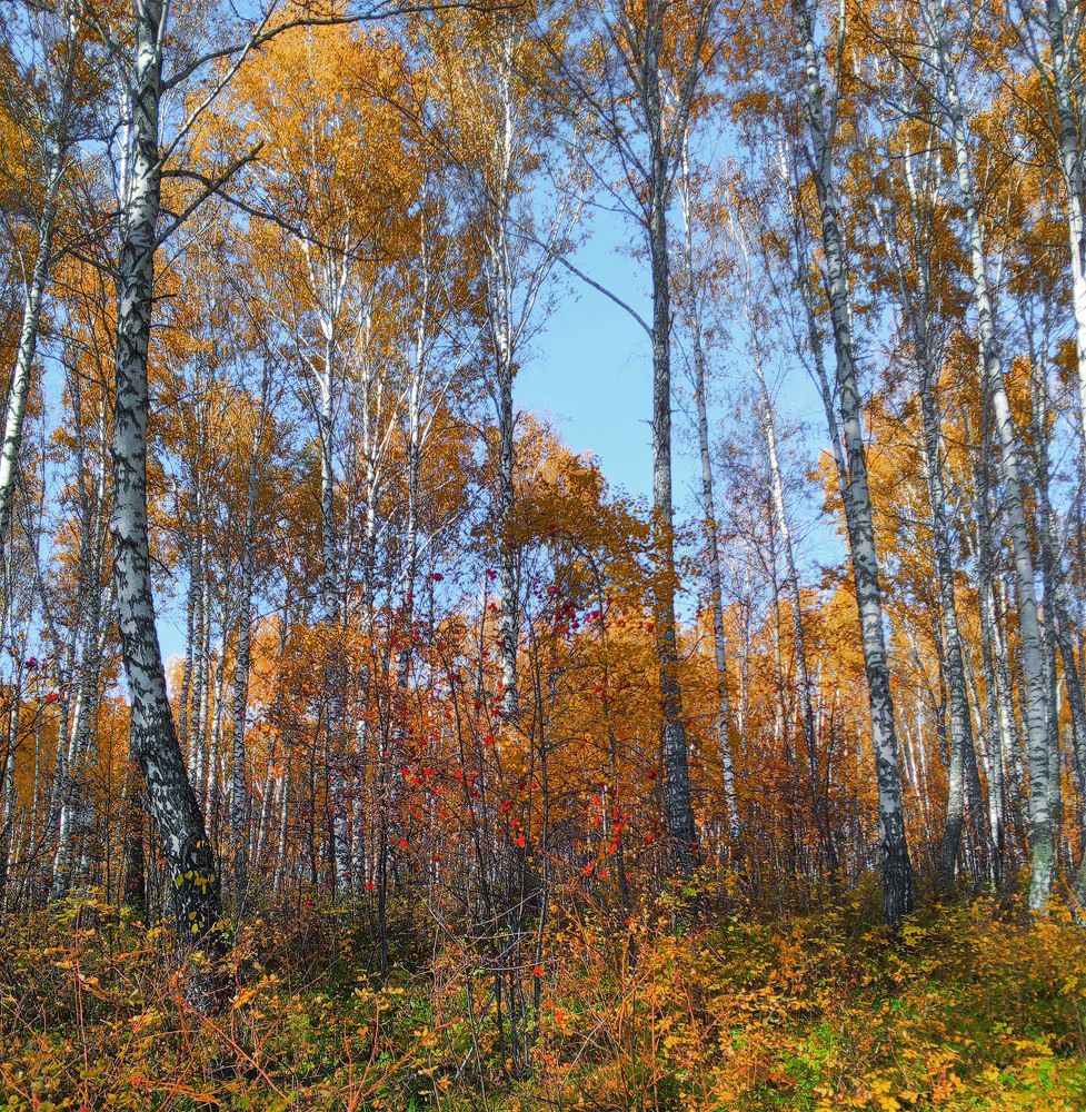 Photograph by Пушкин Сергей