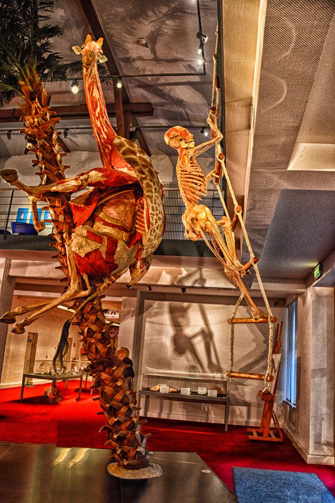 Photograph by arkadii Anufriev