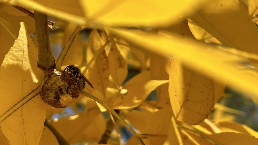 Photograph by Евгений Фисун