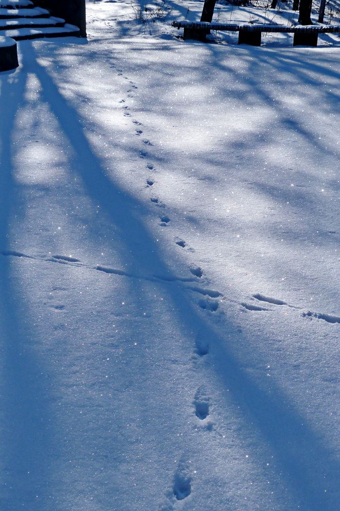 Photograph by Александр