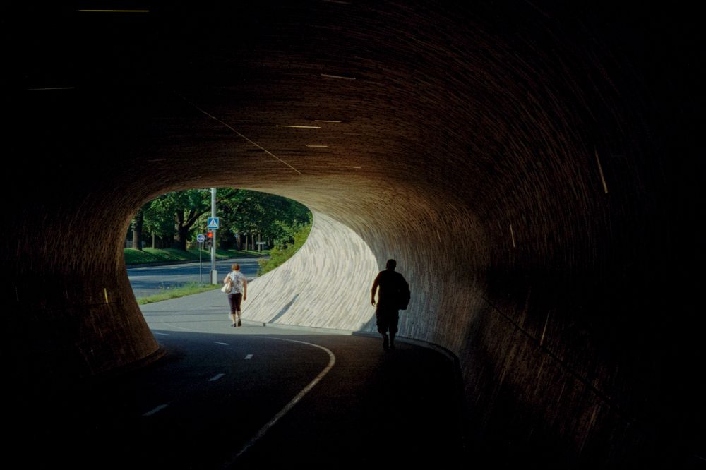 Photograph by Nikolay Surovtsev