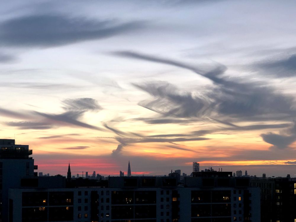 Photograph by Anya Lo