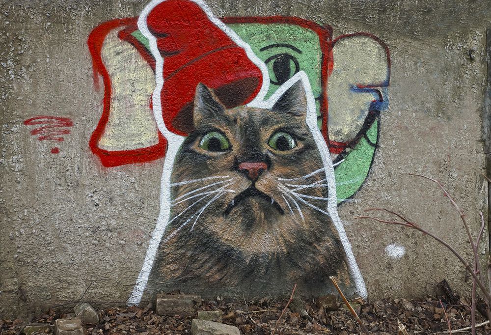 Photograph by Анатолий Максимов