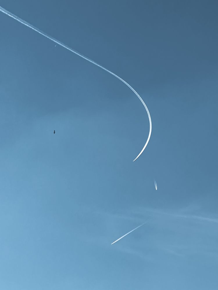 Photograph by Anya Lo