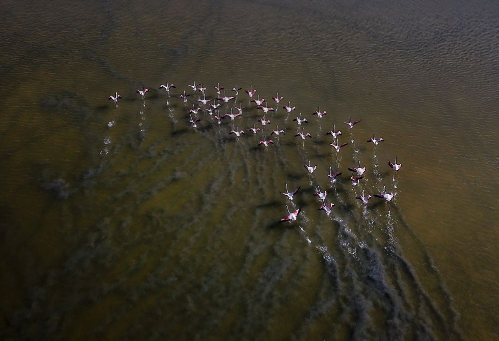 Photograph by Boris Bekelman