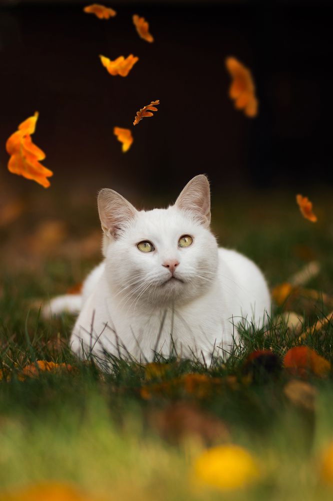 Фотография автора Татьяна Радусь