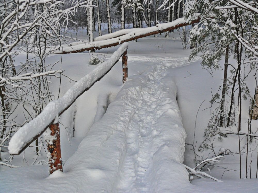 Фотография автора Анатолий Борисов