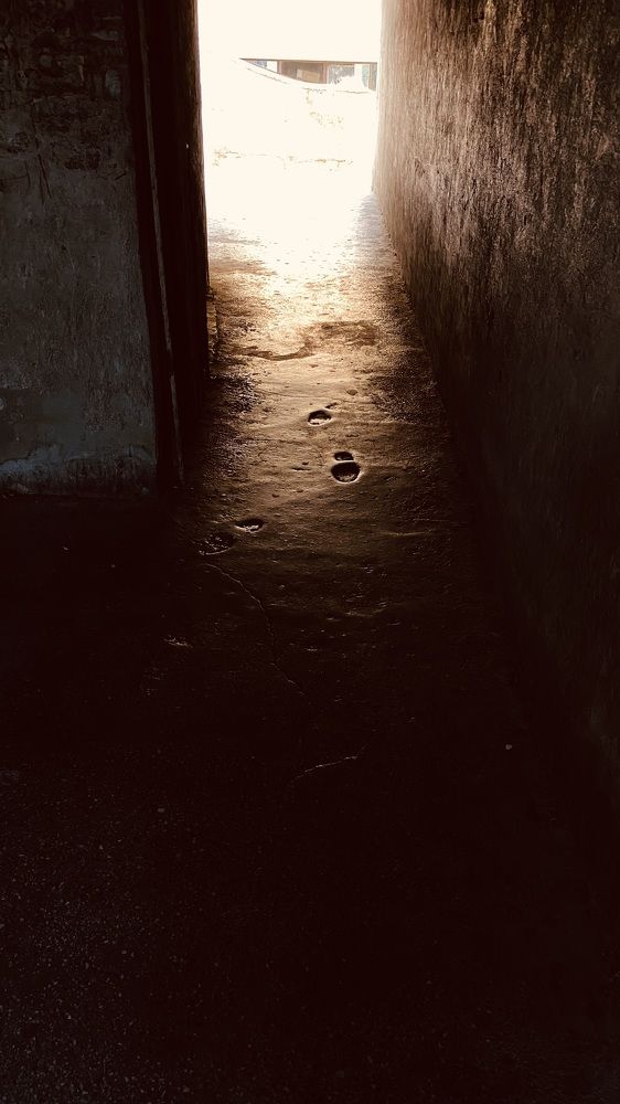 Фотография автора Ольга Полякова