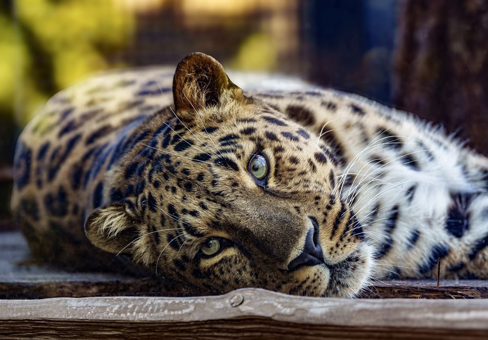 Photograph by Владимир Остапенко