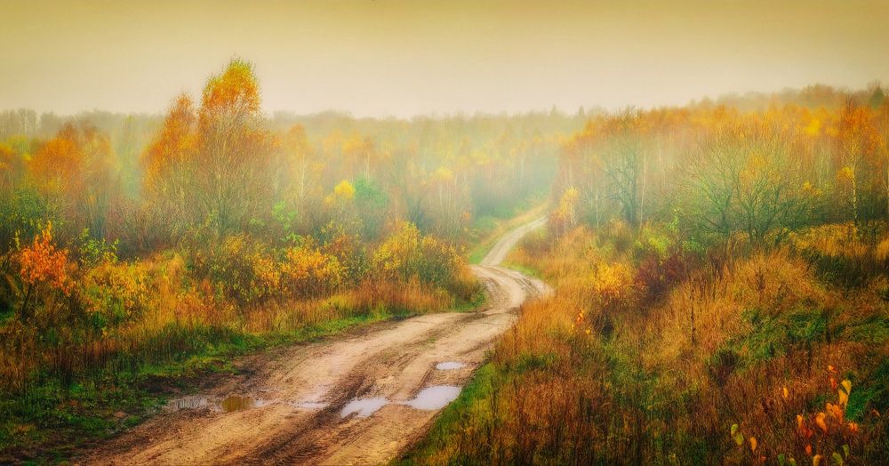 Photograph by Владимир