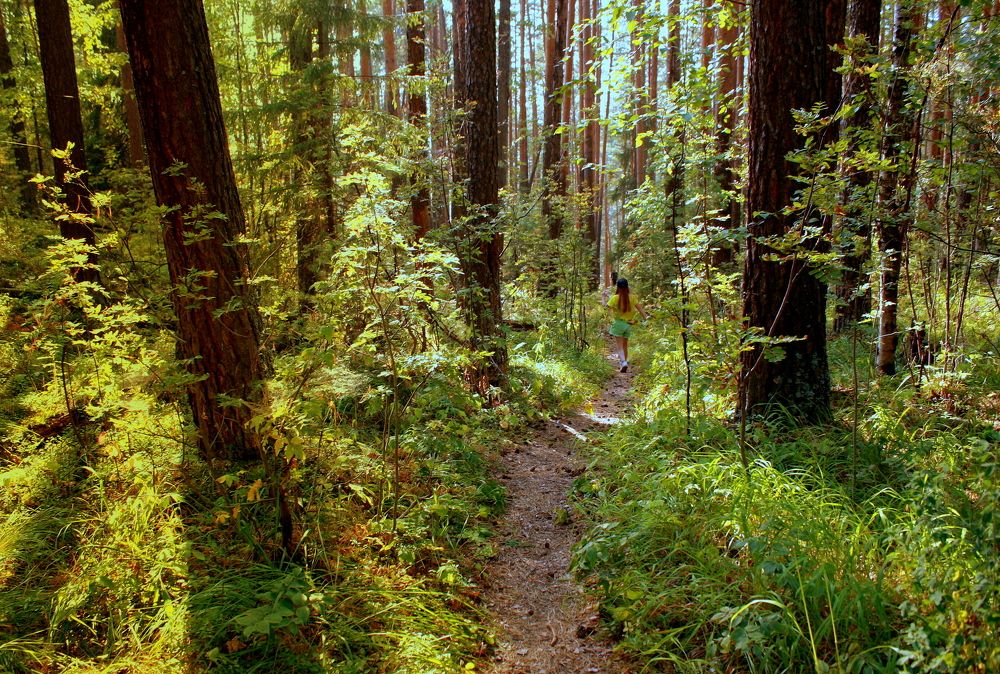 Фотография автора Nelya  Lysenko