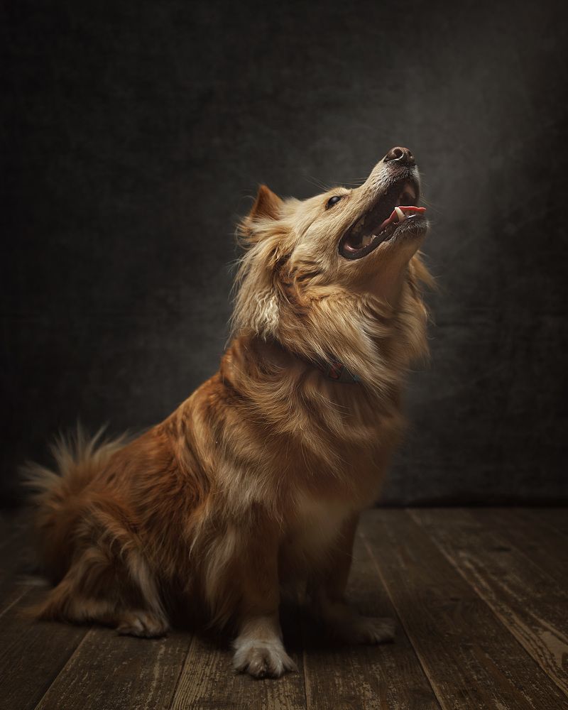 Photograph by Антон Тимошевский