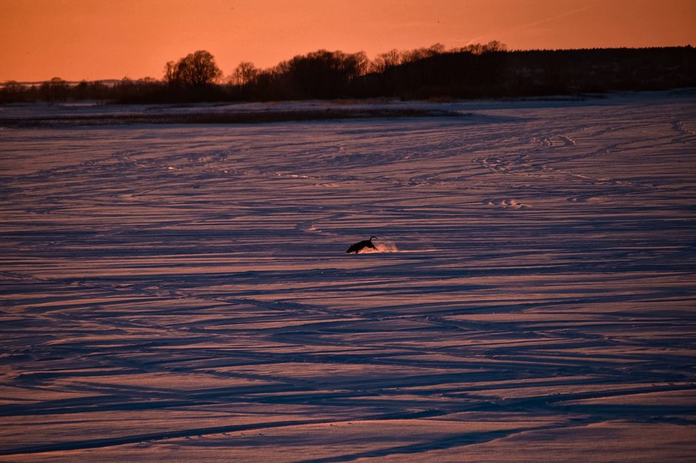 Photograph by Elvira