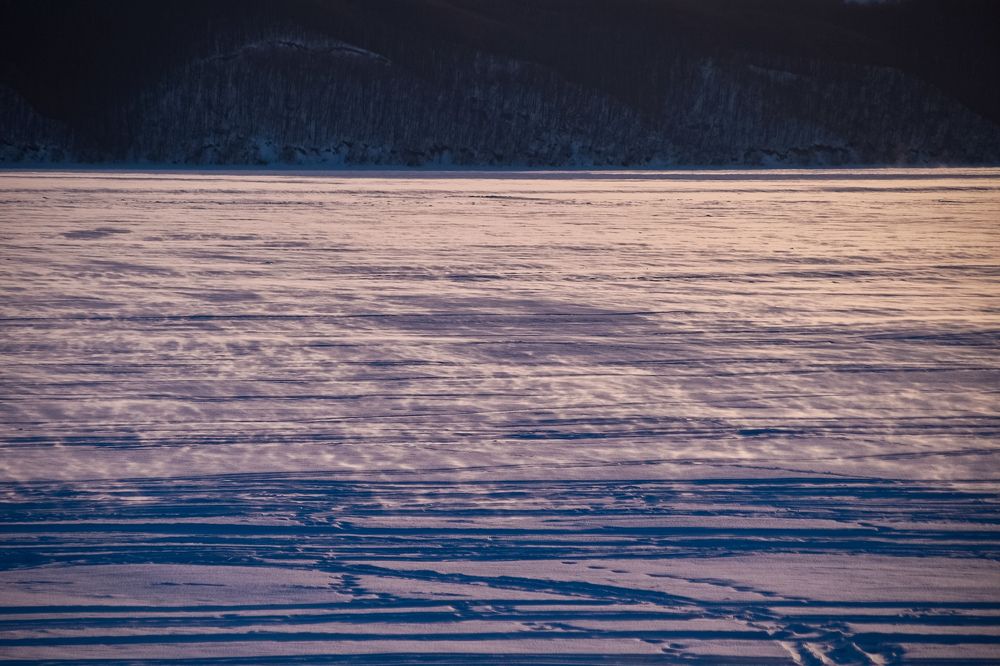 Photograph by Elvira