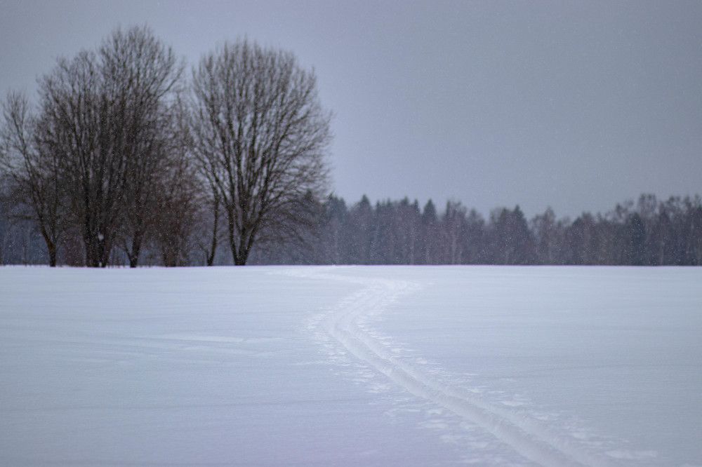 Photograph by Ксения Незговорова