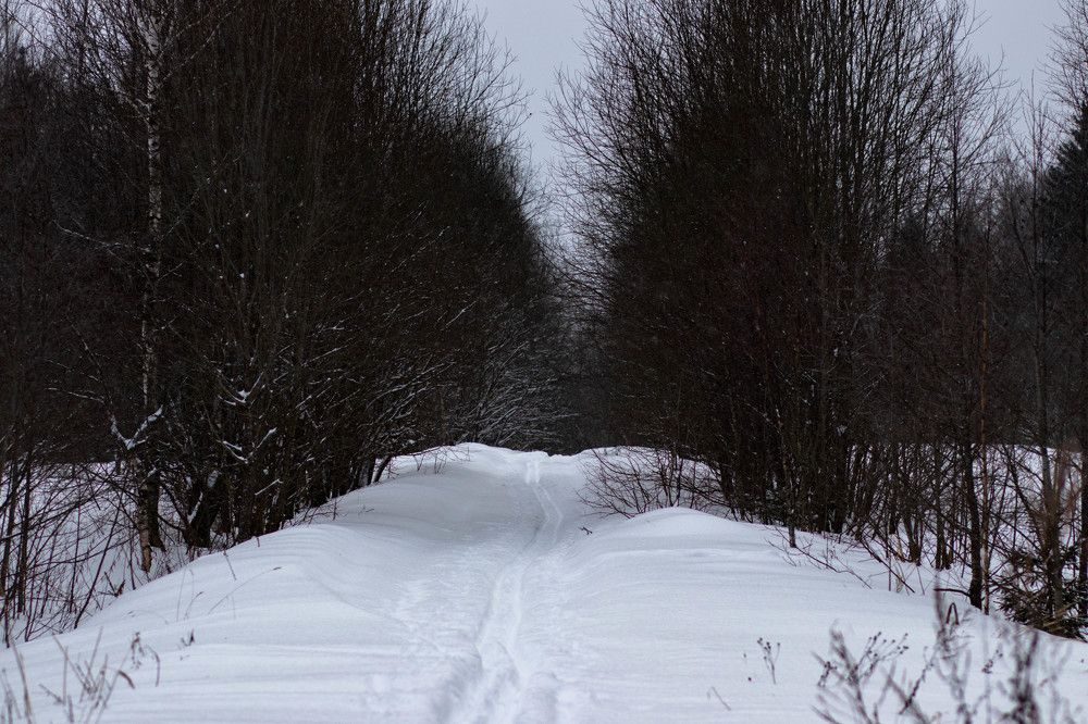 Photograph by Ксения Незговорова