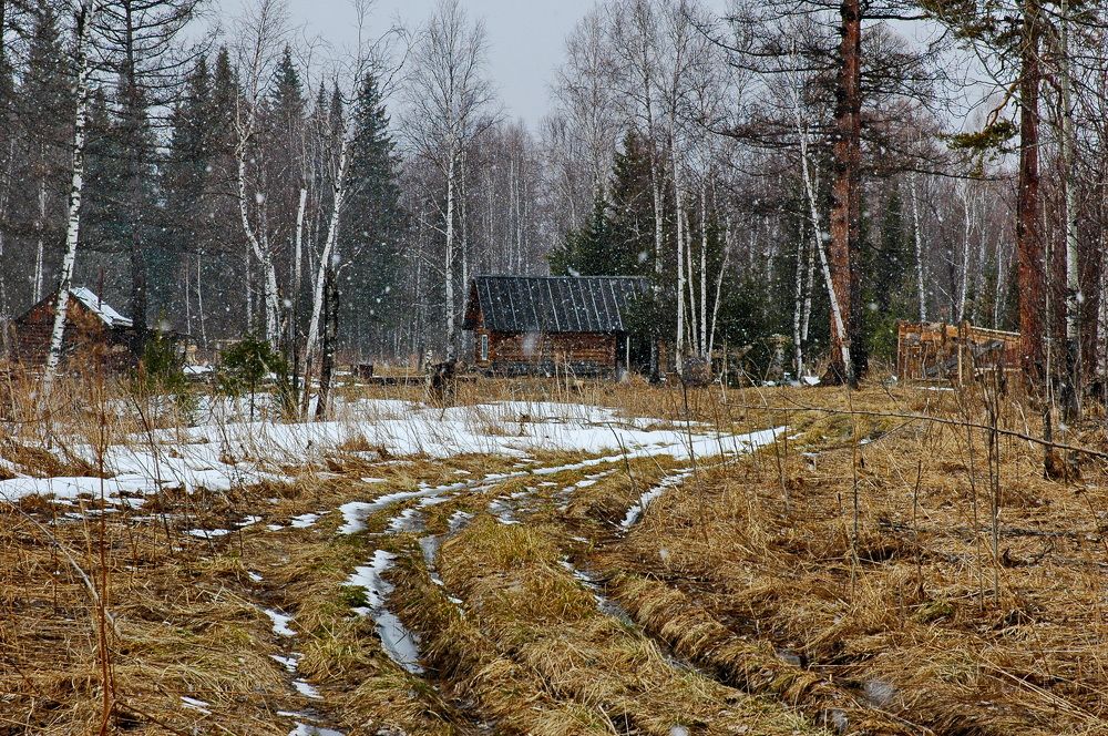 Фотография автора Сергей Тимофеев
