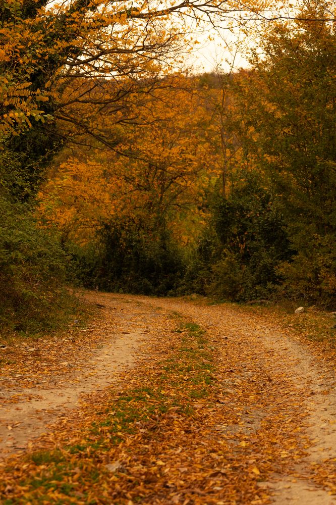 Photograph by София Серёжечкина