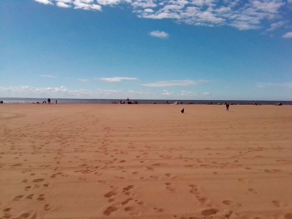 Photograph by Irina Mihailovskaya