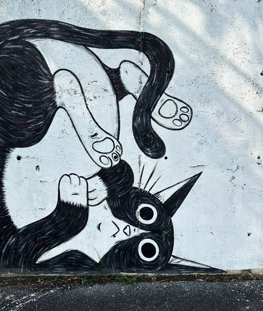 Photograph by Екатерина Козлова