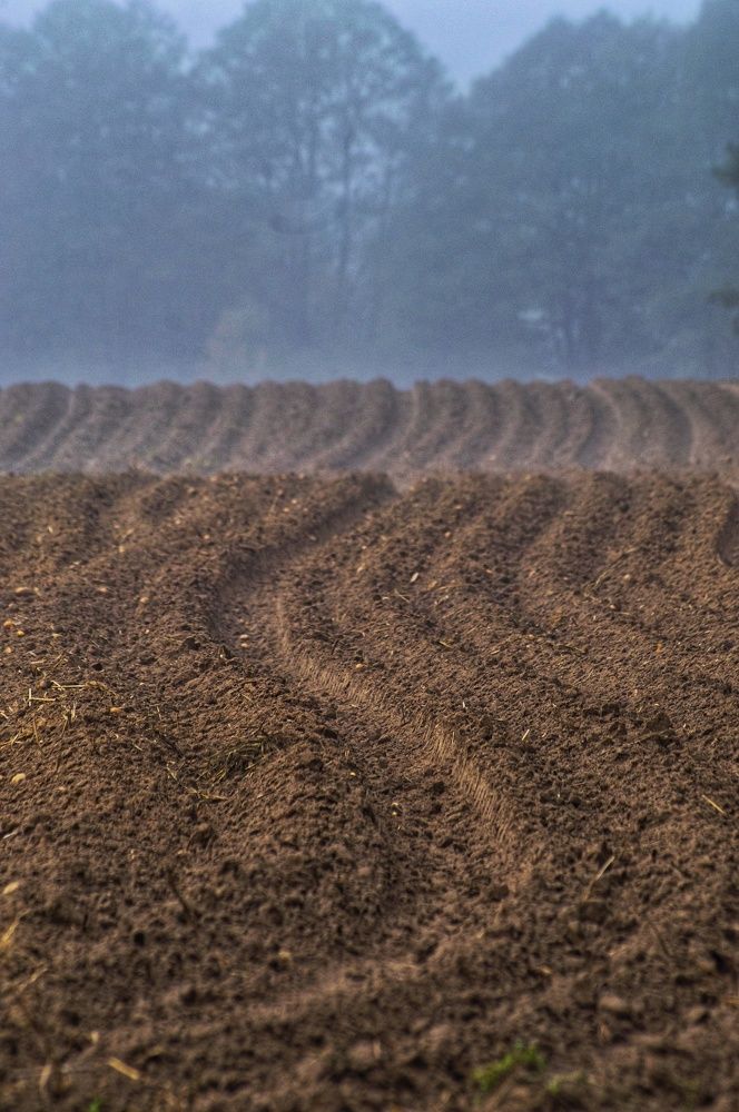 Photograph by Елена Кошелева