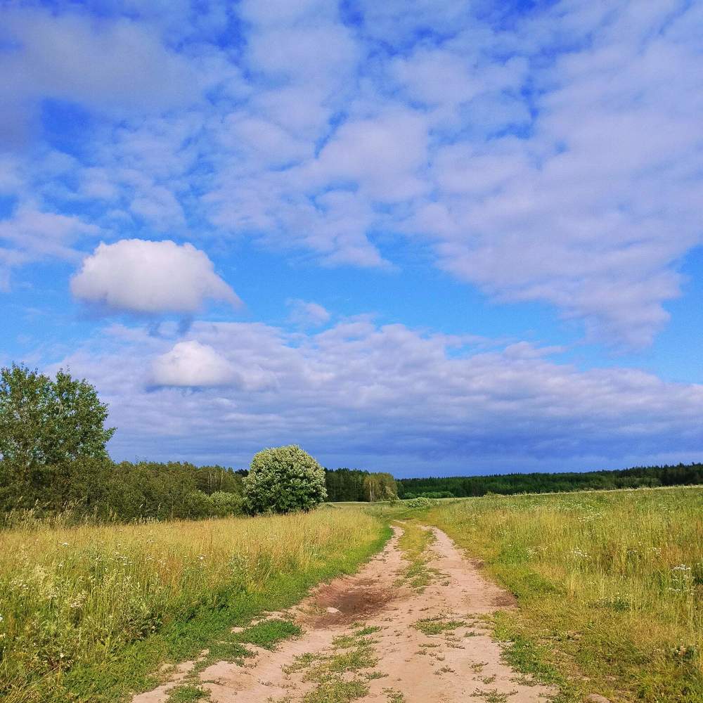 Photograph by Екатерина Супраненок