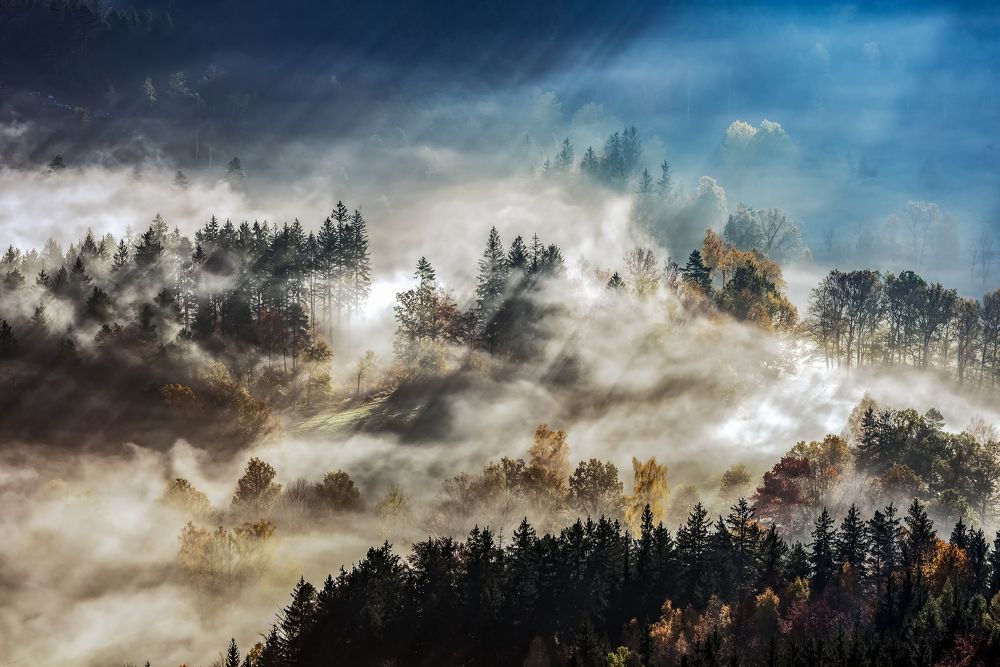 In the glow of the sun's rays