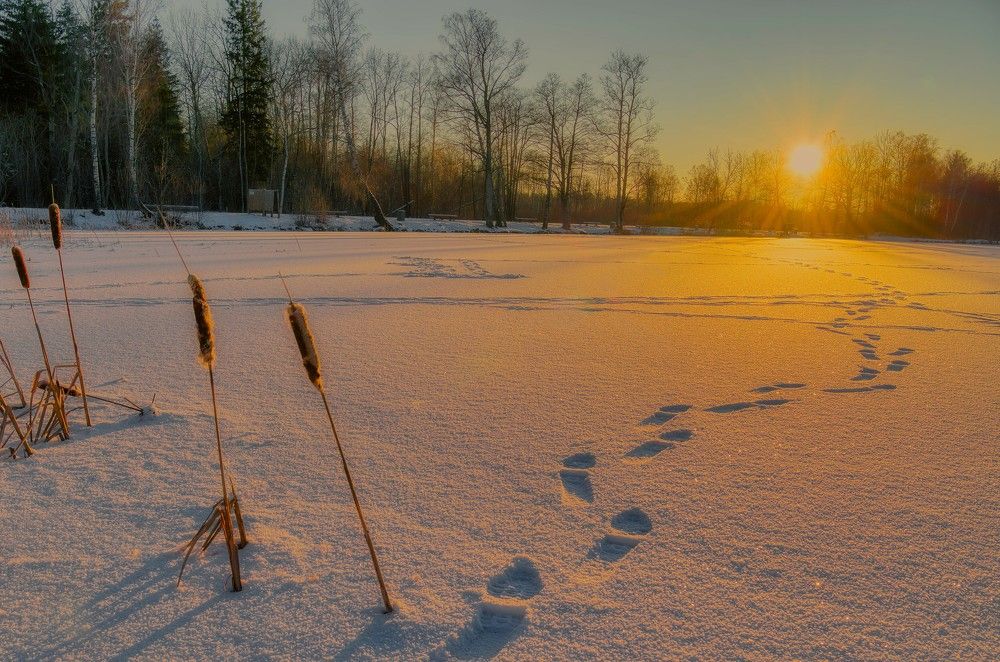 Photograph by Janis Serdienis