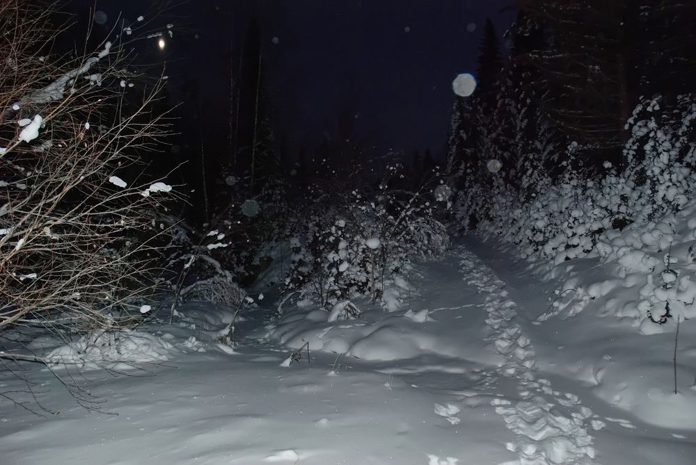 Фотография автора Сергей Тимофеев