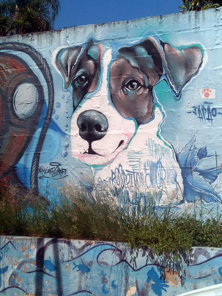 Photograph by Mônica Rodrigues