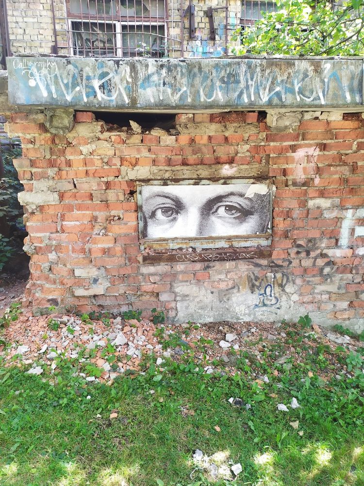 Photograph by Olga Kot