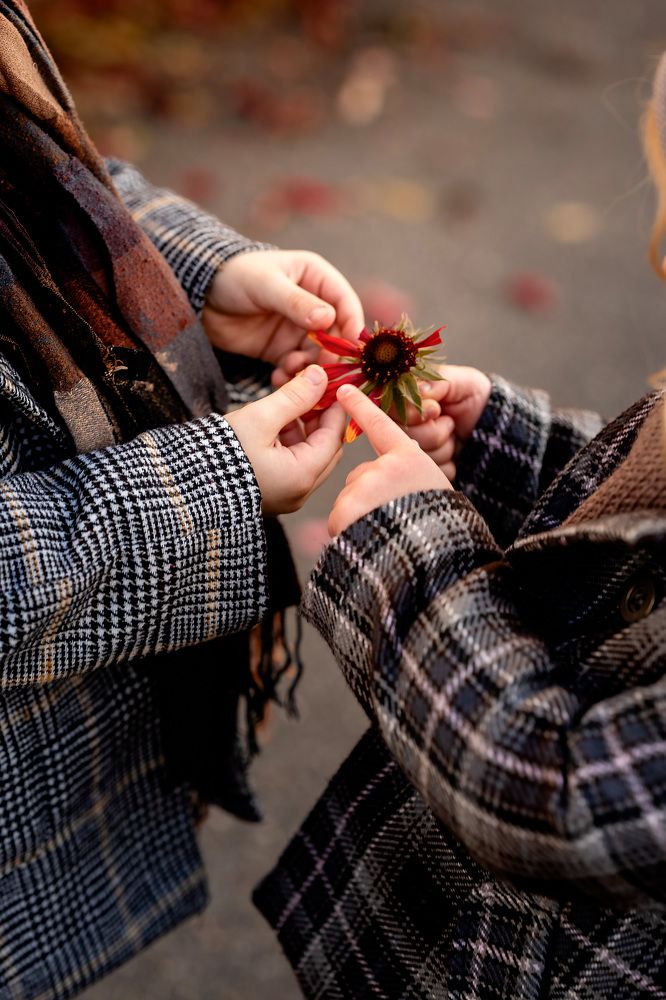 Любит-не-любит