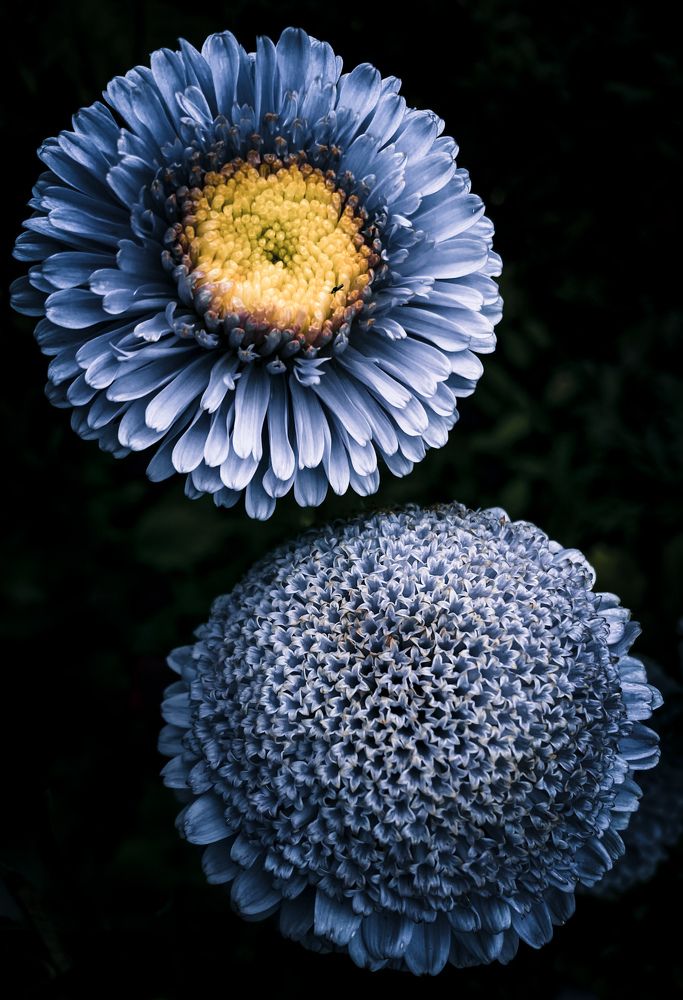 Photograph by Мария Ананьева