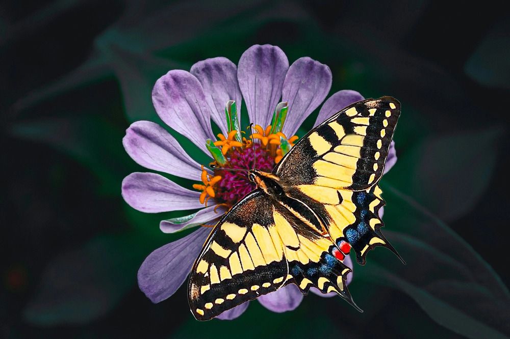 Photograph by Мария Ананьева