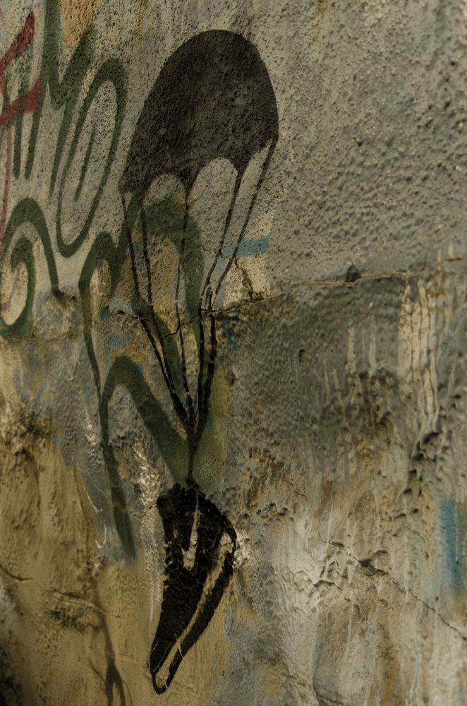 Photograph by Константин