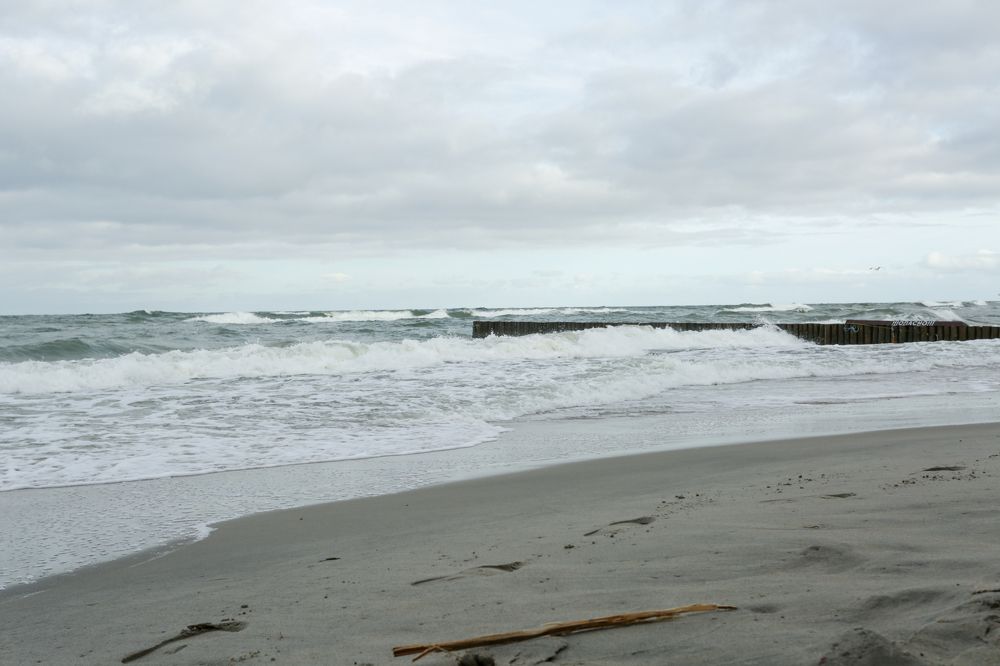 Фотография автора Татьяна Перминова