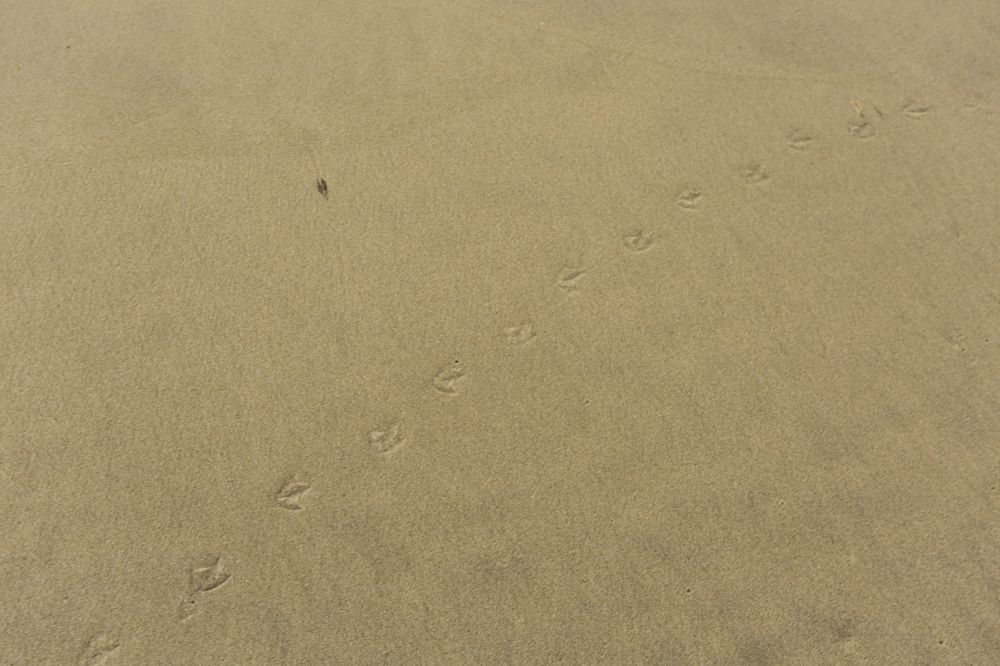 Фотография автора Татьяна Перминова