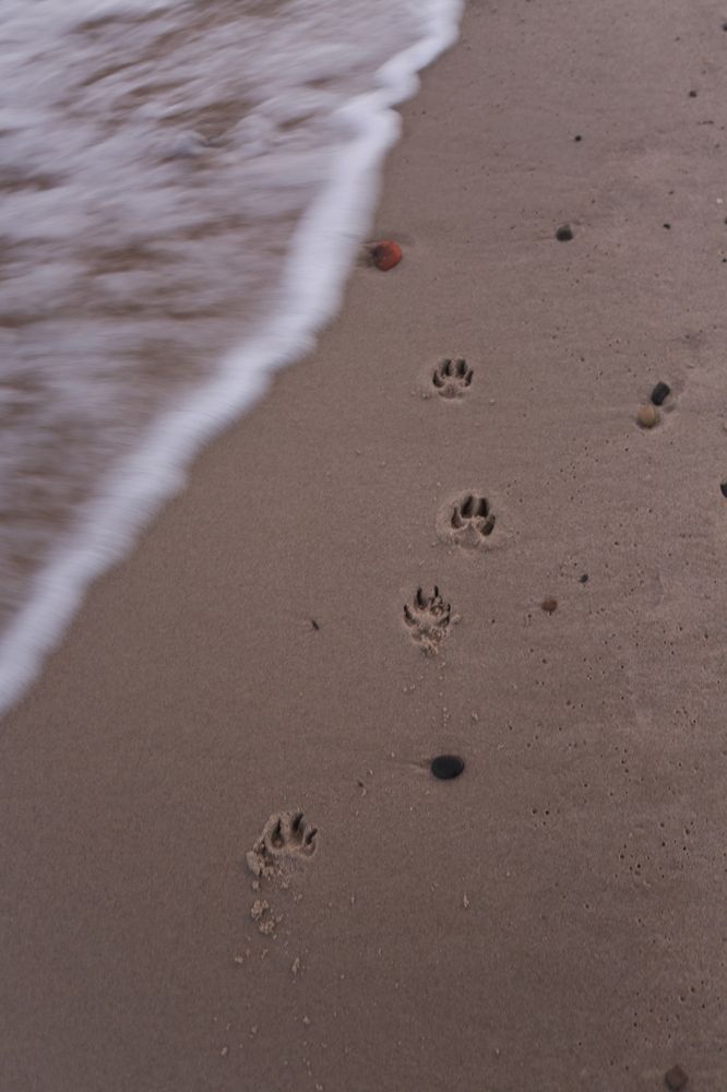 Фотография автора Татьяна Перминова