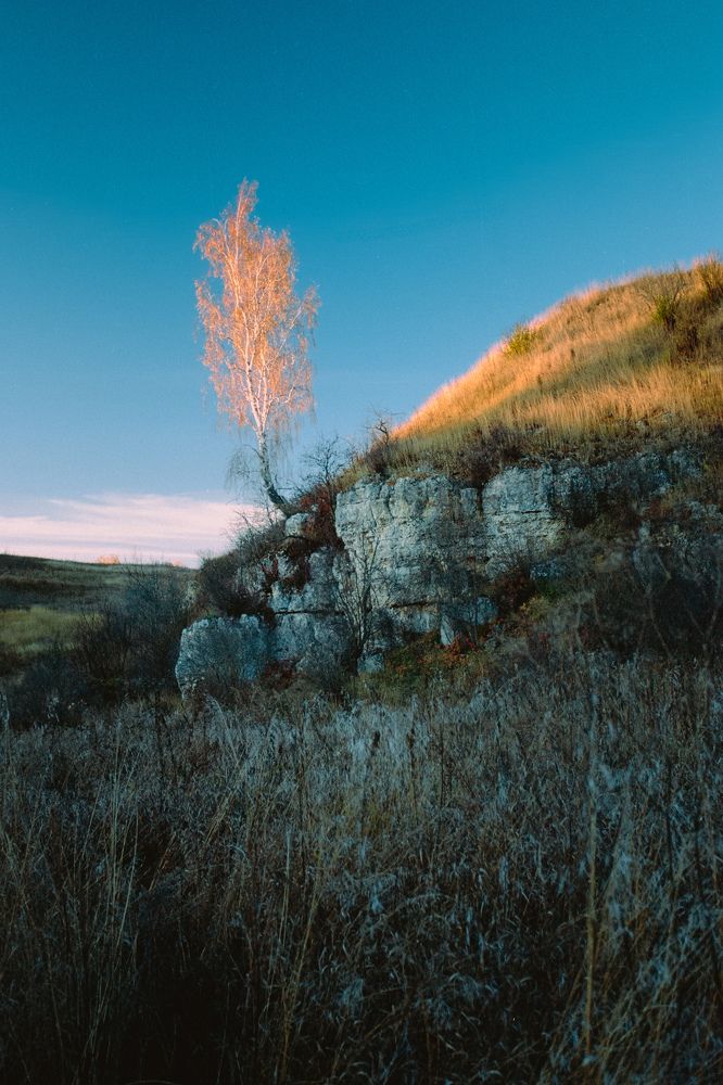 Photograph by Сергей Дивид