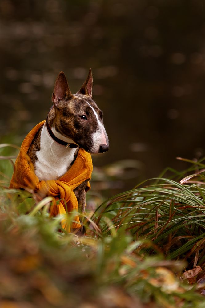 Photograph by Наталья Матюхина