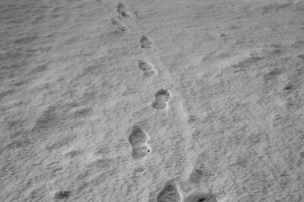 Photograph by Ковригина Евгения