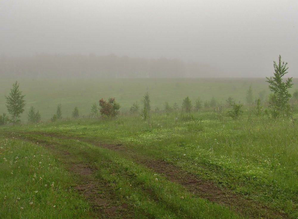 Photograph by Виктор Карпухин
