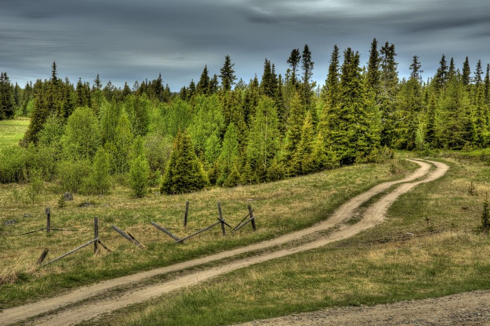 Photograph by ARTEM KORZHUKOV