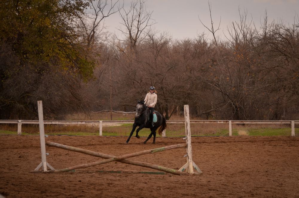 Photograph by Ольга Ковальчук