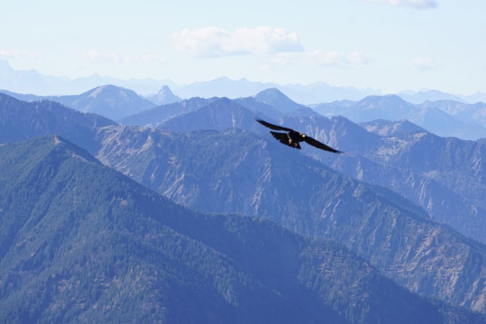 Фотография автора Liudmila Kiermeier