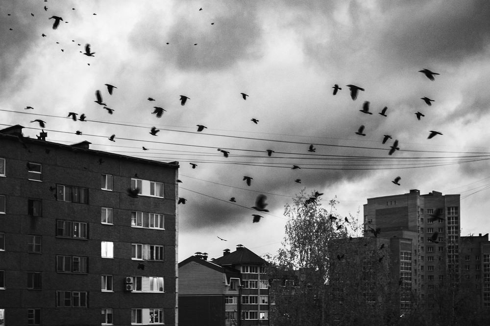 Photograph by Павлов Егор