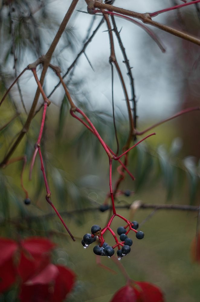 Photograph by Татьяна Бардак