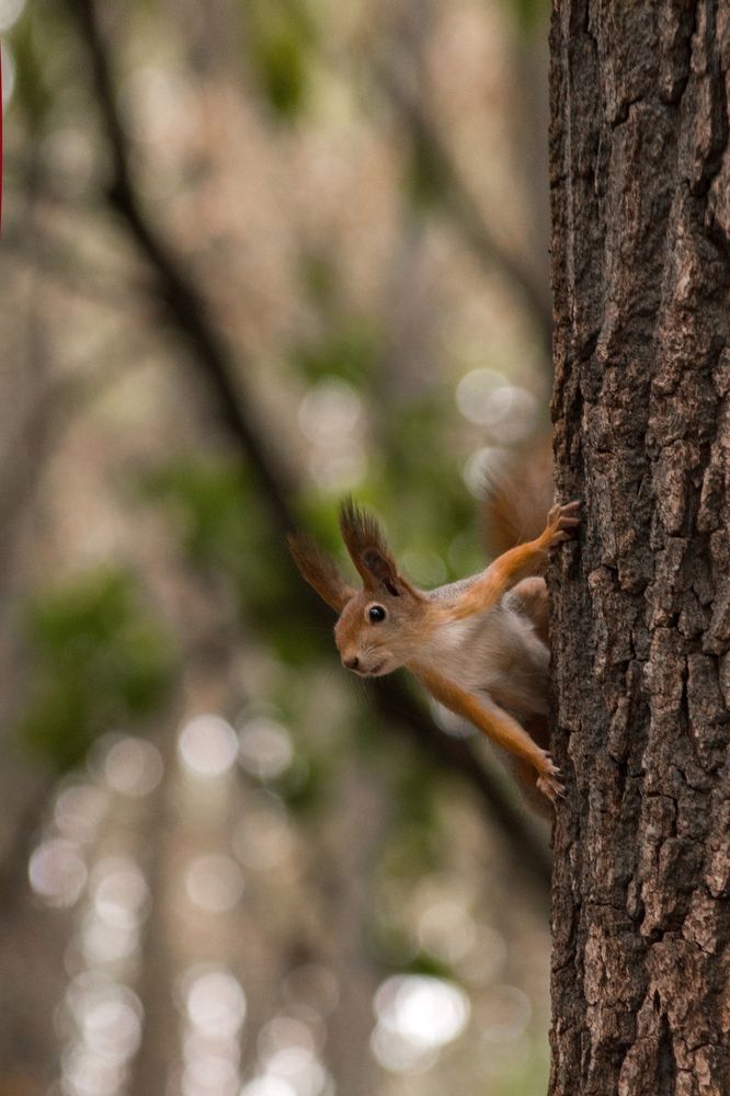 Photograph by Татьяна Бардак