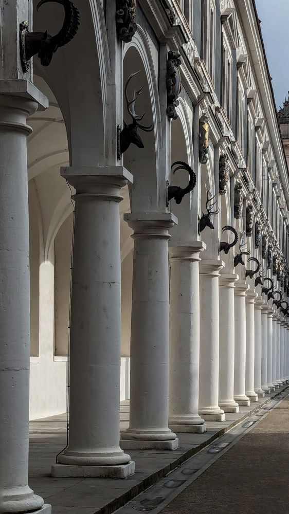 Фотография автора Petr